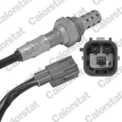 Oxygen Sensor